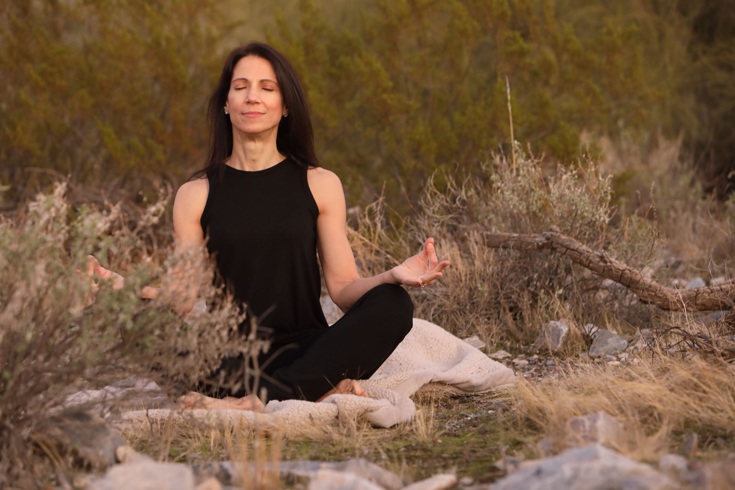 Tearing Down the Obstacles to Meditation – Angela Ambrose